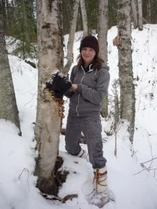 Chaga Harvesting with laughing lichen