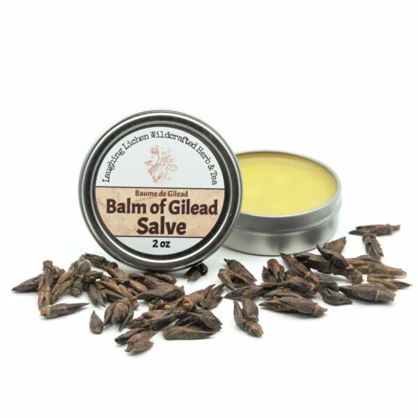 balm of gilead herbal salve