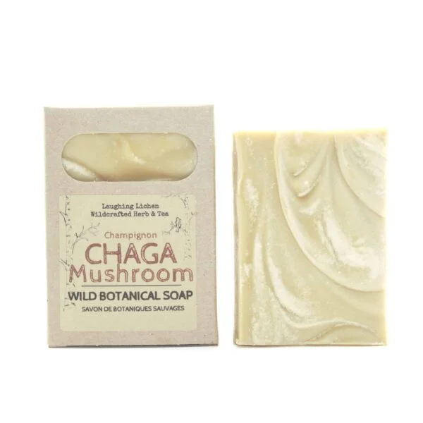 chaga soap