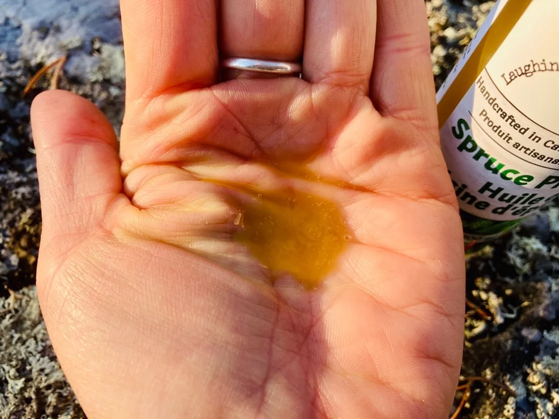 Spruce Pitch Oil 3 Spruce Pitch Oil - Image 3