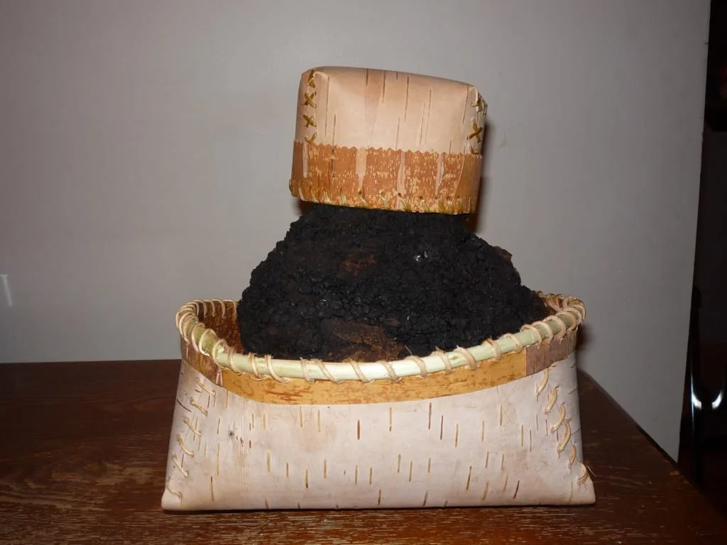 Chaga in Homemade Birch Bark Basket