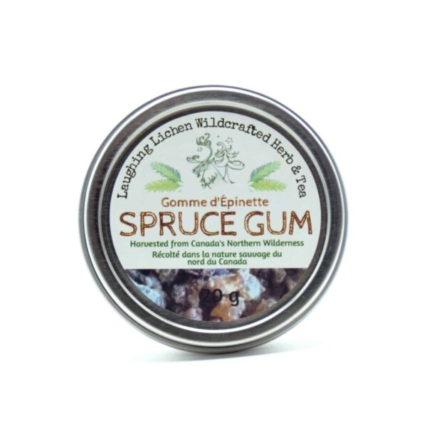 Spruce Pitch Gum