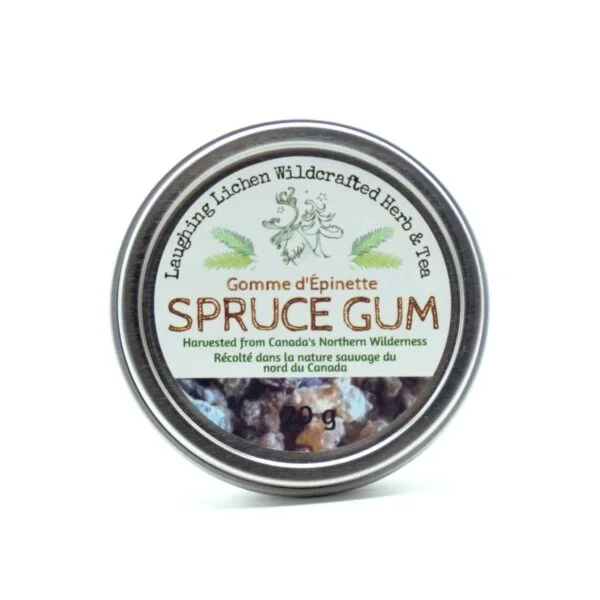 spruce pitch gum