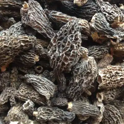 Wild Morel Mushrooms