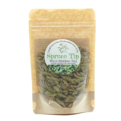 spruce tip tea