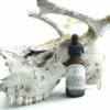 bushman beard oil with lichen covered skull