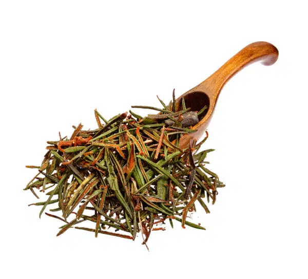 labrador tea spice