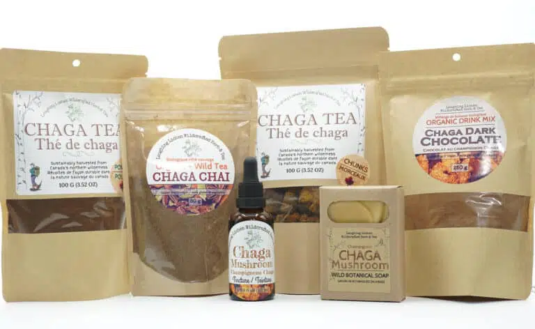 our line of chaga mushroom products