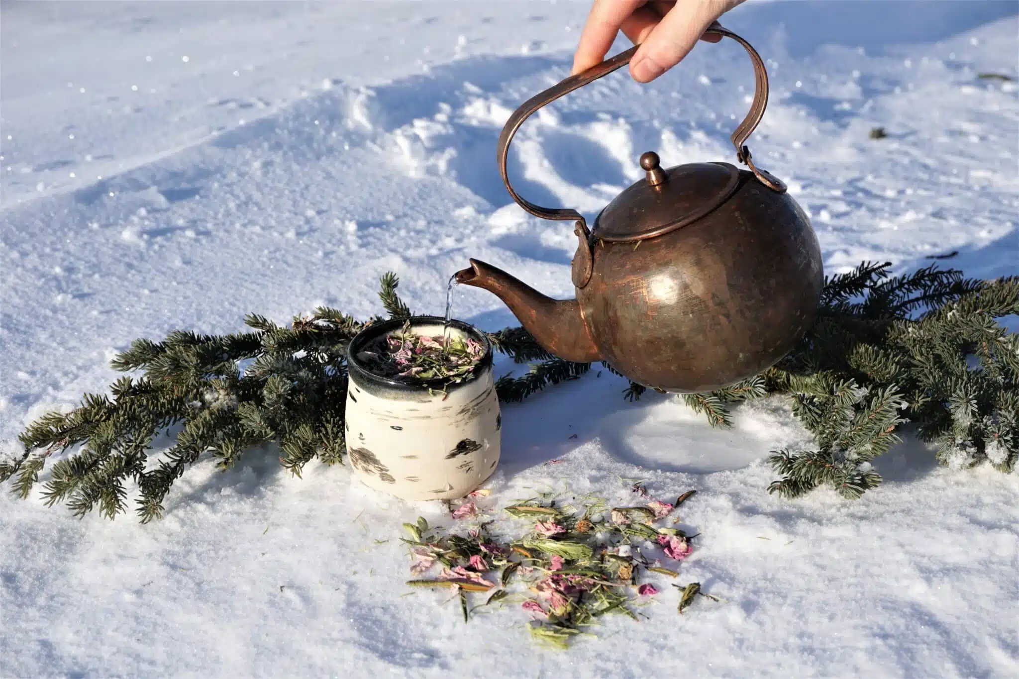wild herbal teas