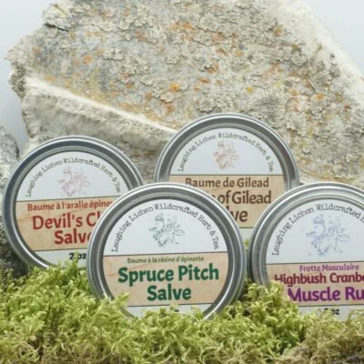1/2 oz Herbal Salves Sampler Pack