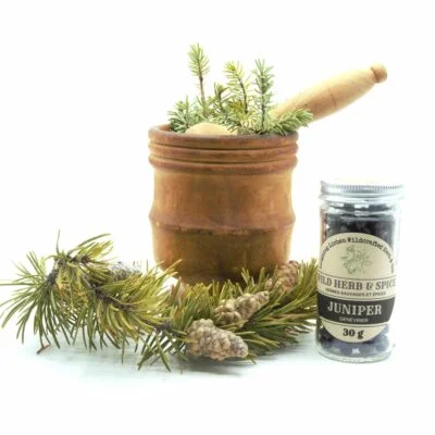 wild herb and spice juniper berries, genévrier