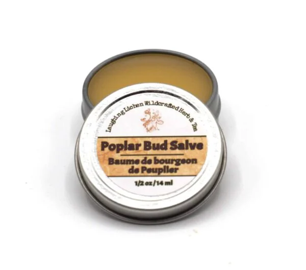 poplar bud salve