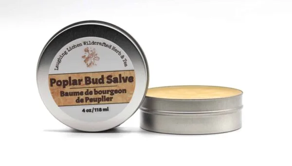 poplar bud salve
