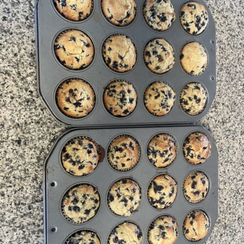 Gluten Free Wild Crowberry Muffins Laughing Lichen