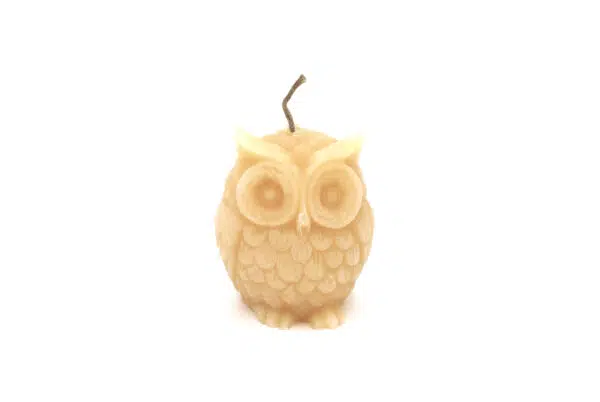 small owl