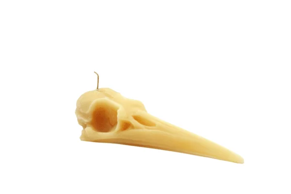 Bird Skull Candle - Image 2