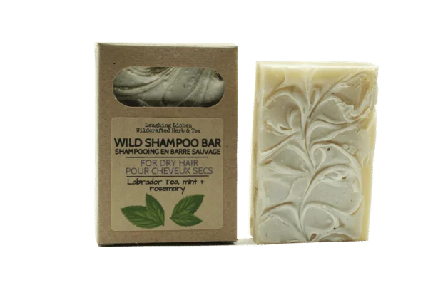 natural shampoo bar