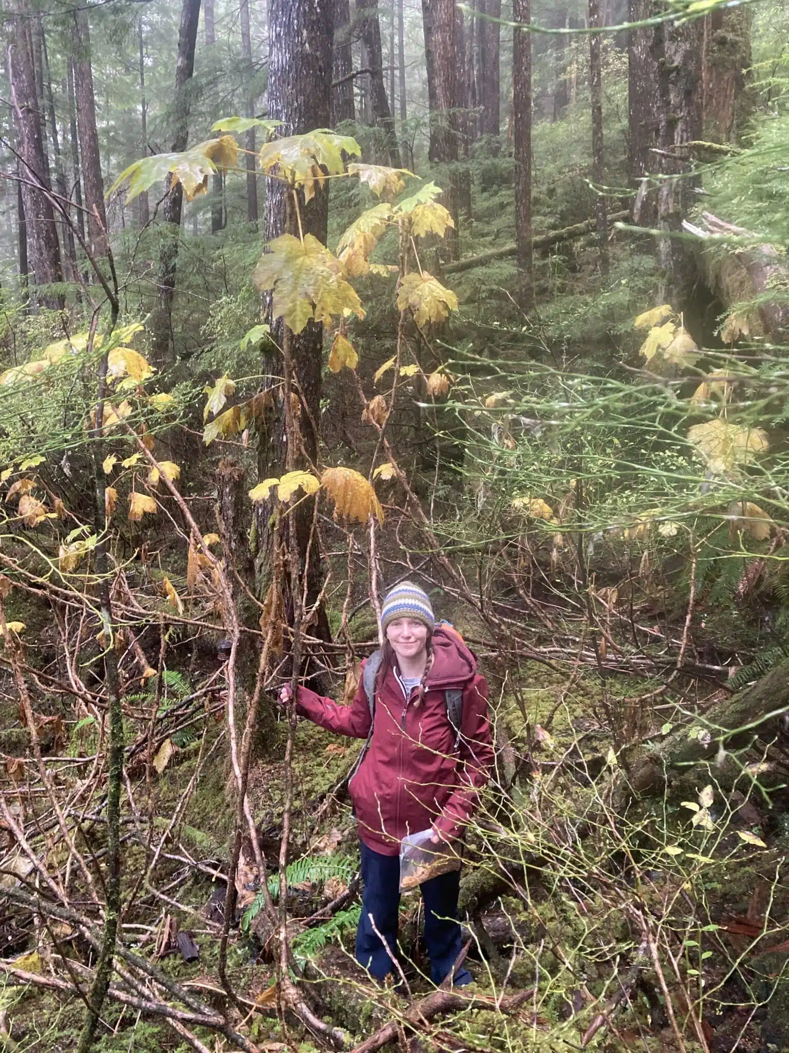 amy standing beside devil's club plant