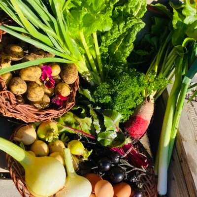 Fall Harvest Veggie Box