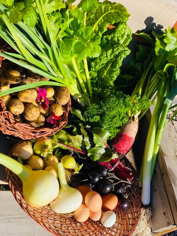 Fall Harvest Veggie Box