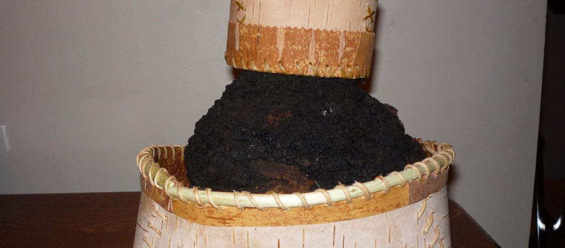 Chaga in Homemade Birch Bark Basket